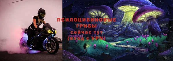 ГАЛЛЮЦИНОГЕННЫЕ ГРИБЫ Богородицк