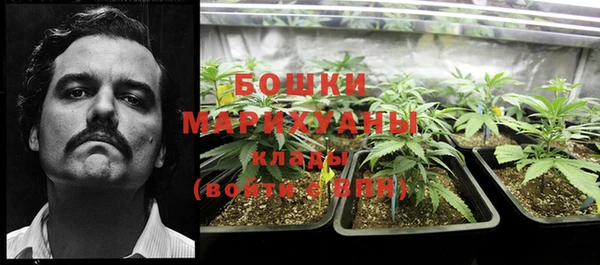 дживик Белоозёрский