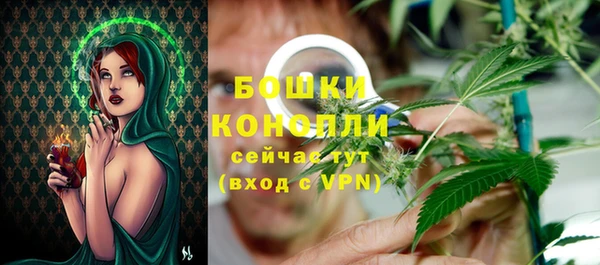 ГАЛЛЮЦИНОГЕННЫЕ ГРИБЫ Богородицк